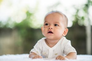 An Overview of Developmental Infant Anatomy