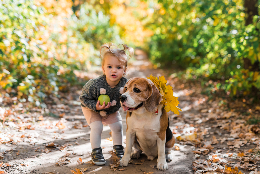 How Do Dogs Know To Be Gentle With Babies? Dogs and Babies