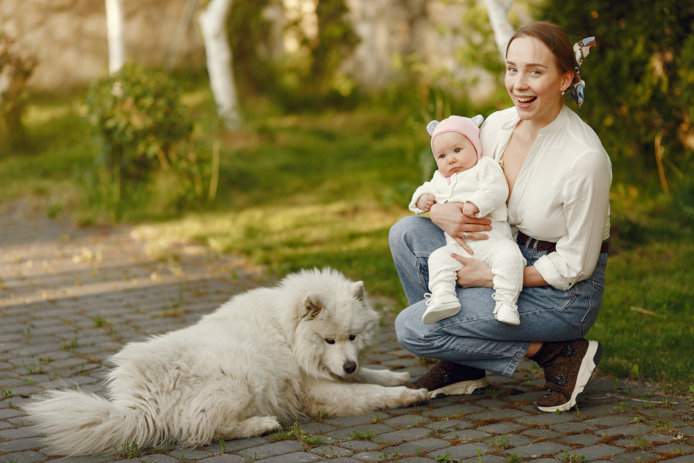 How do Dogs Show Interest in Babies?