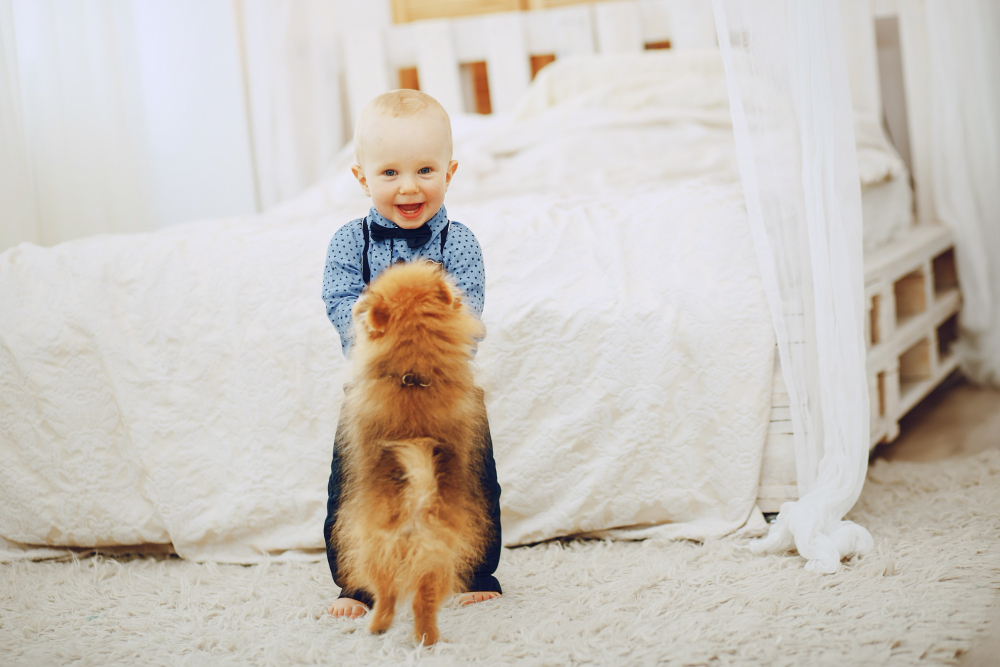 Why do dogs know to be gentle with babies?