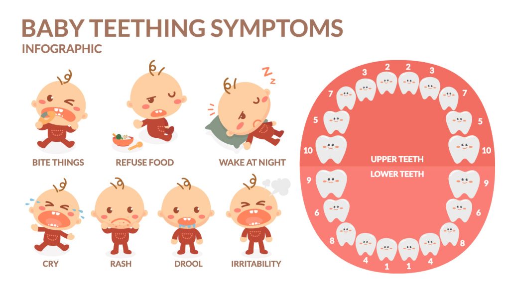 Recognizing the 7 Common Signs of Teething in Babies
